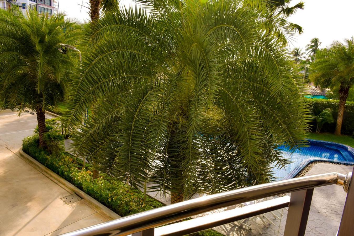 Whale Marina Condominium Na Chom Thian Habitación foto